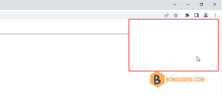 Bg1013