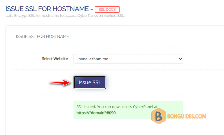 How to Configure the Login Page to Domain Name Instead of IP at CyberPanel