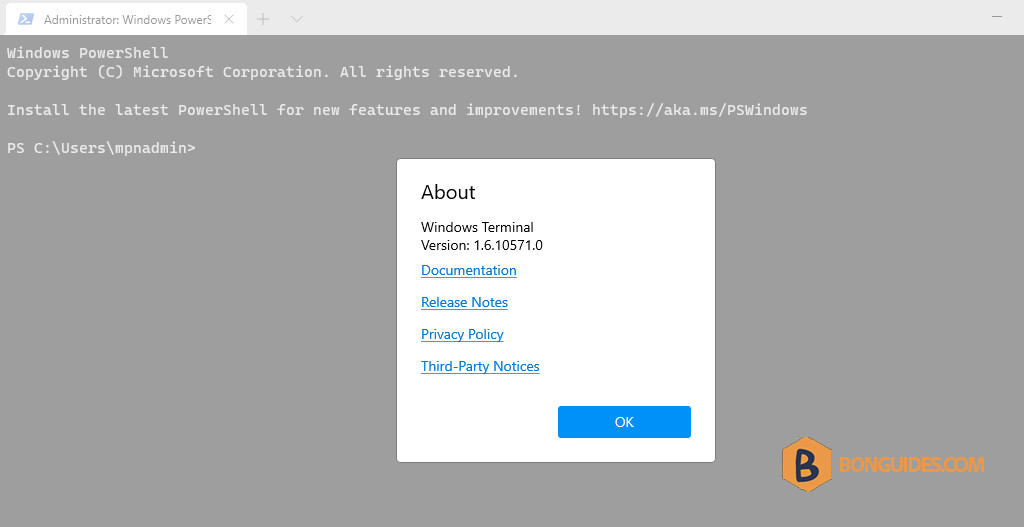 How to Install and Update Windows Terminal in Windows 10/11