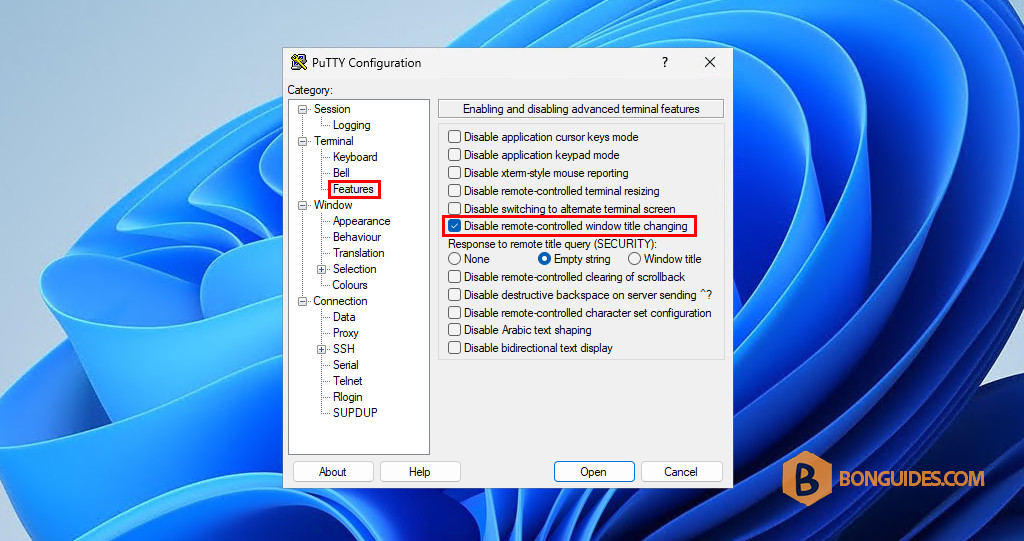 PuTTY Command Line Argument to Change Window Title