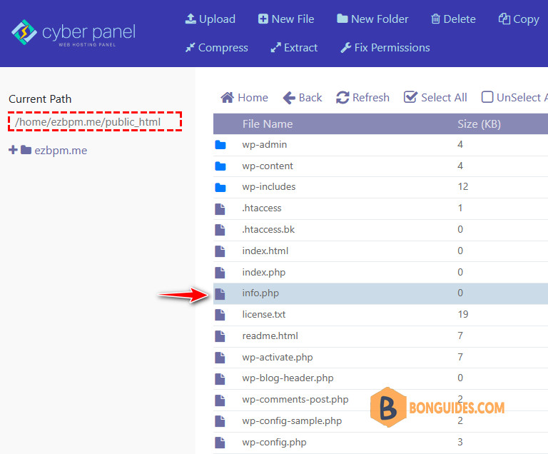 The Uploaded File Exceeds The Upload_Max_Filesize CyberPanel