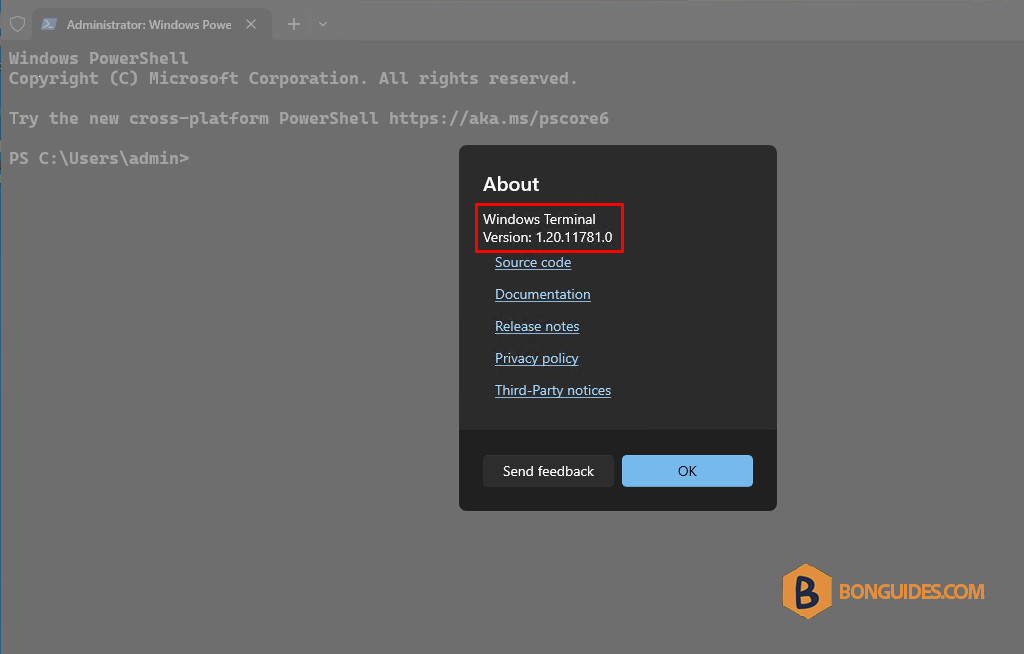 How to Install and Update Windows Terminal in Windows 10/11