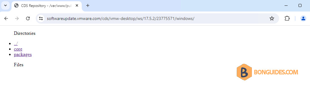 How to Download VMware Workstation Pro 17 without Broadcom Account