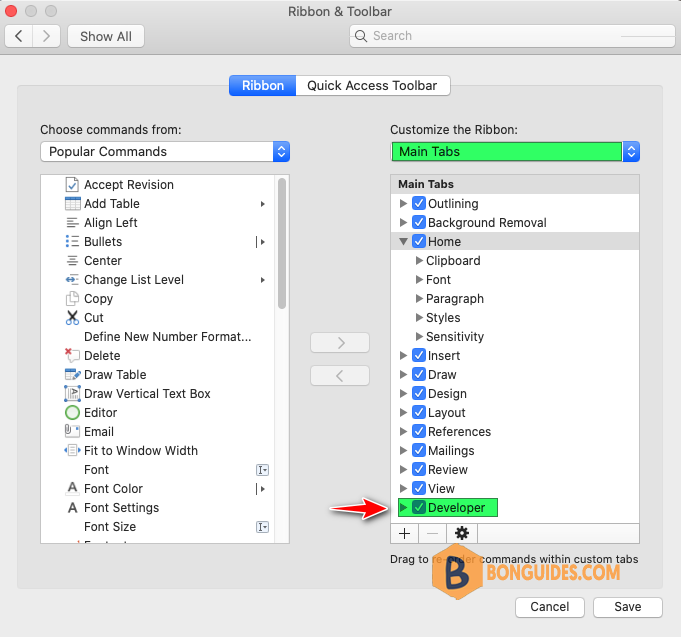 How to Enable or Show the Developer Menu in Microsoft Word?