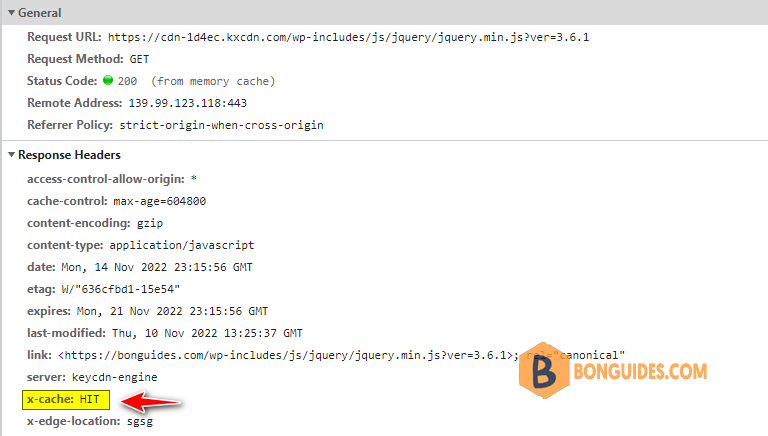 How to Check If CDN is Working or Not in Your Website