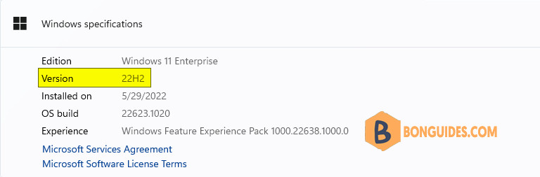 How to Upgrade from Windows 11 to Windows 11 22H2 without Requirements